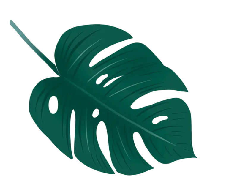 coconut_leaf